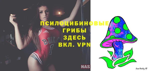 синтетический гашиш Кинешма